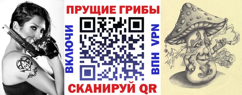 закладка  Питкяранта  Псилоцибиновые грибы ЛСД 